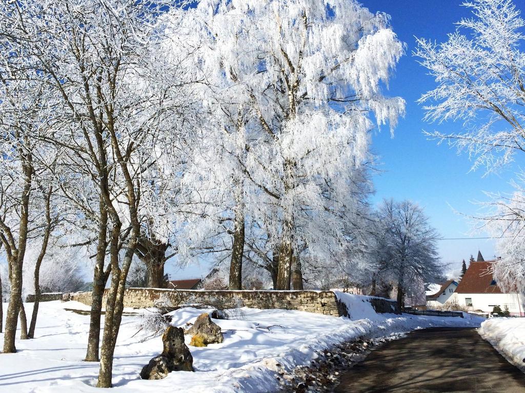 Ferienwohnung Ahorn Hohenstein  Экстерьер фото